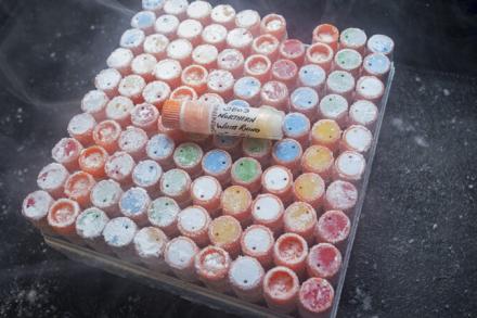 test tubes