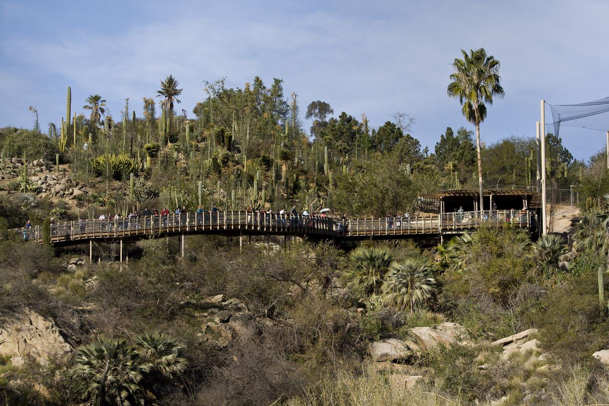 Condor Ridge