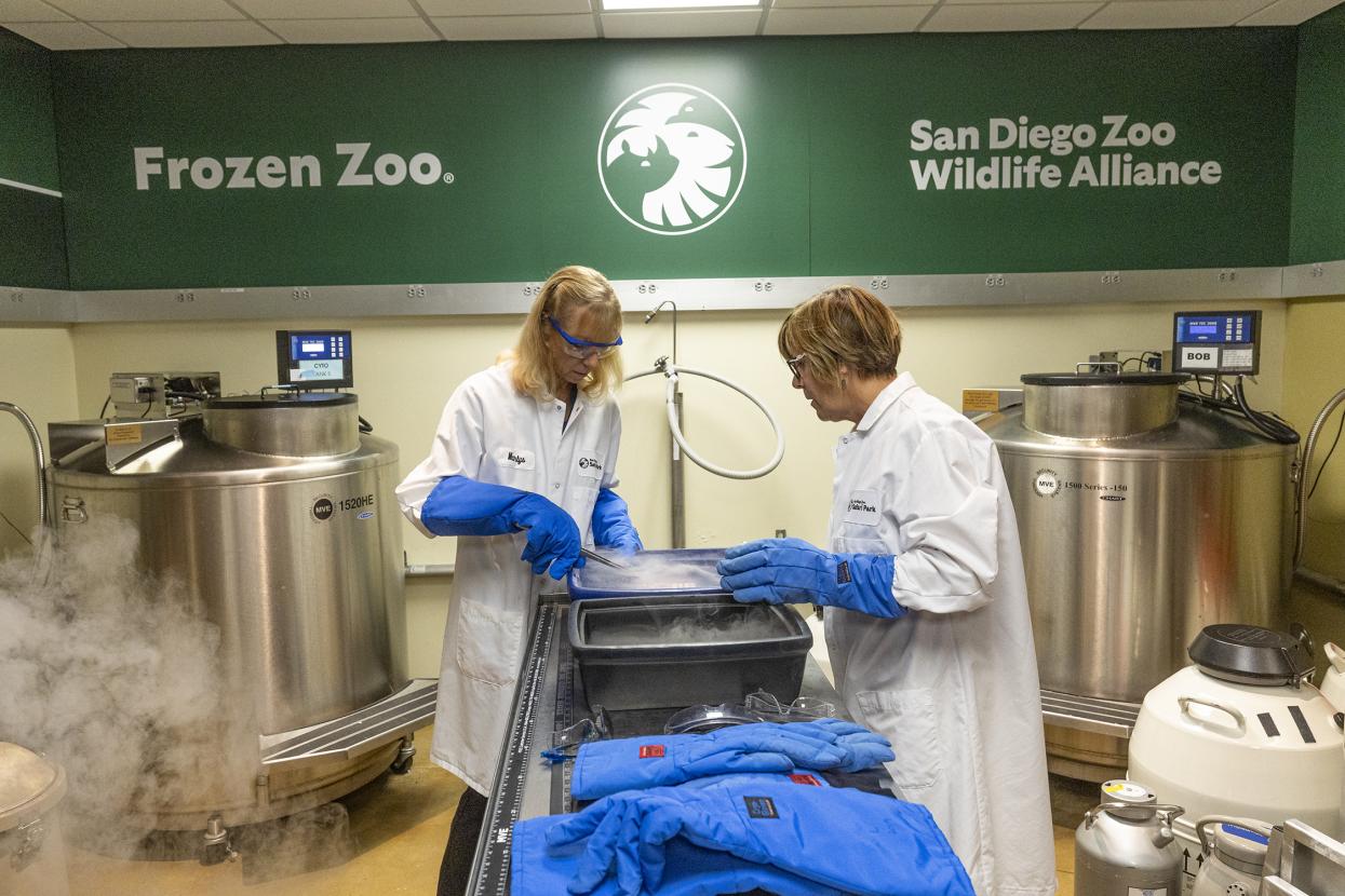 Frozen Zoo staff